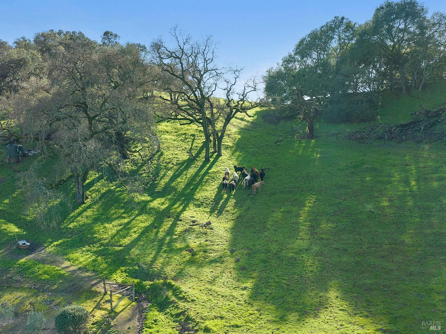 Detail Gallery Image 57 of 92 For 631 Casswall St, Napa,  CA 94558 - 7 Beds | 5/2 Baths