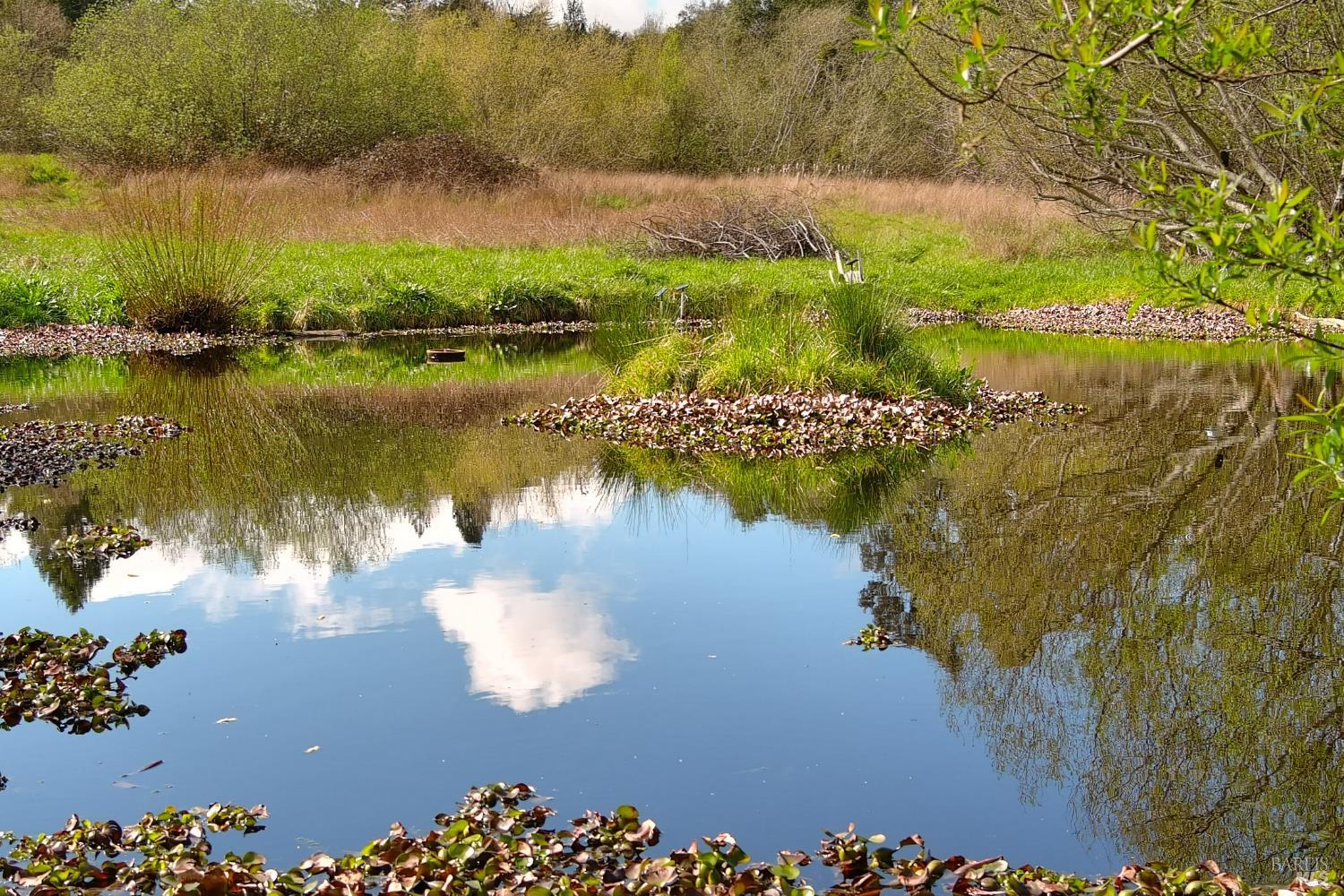 Detail Gallery Image 12 of 25 For 755 Watertrough Rd, Sebastopol,  CA 95472 - 2 Beds | 2 Baths