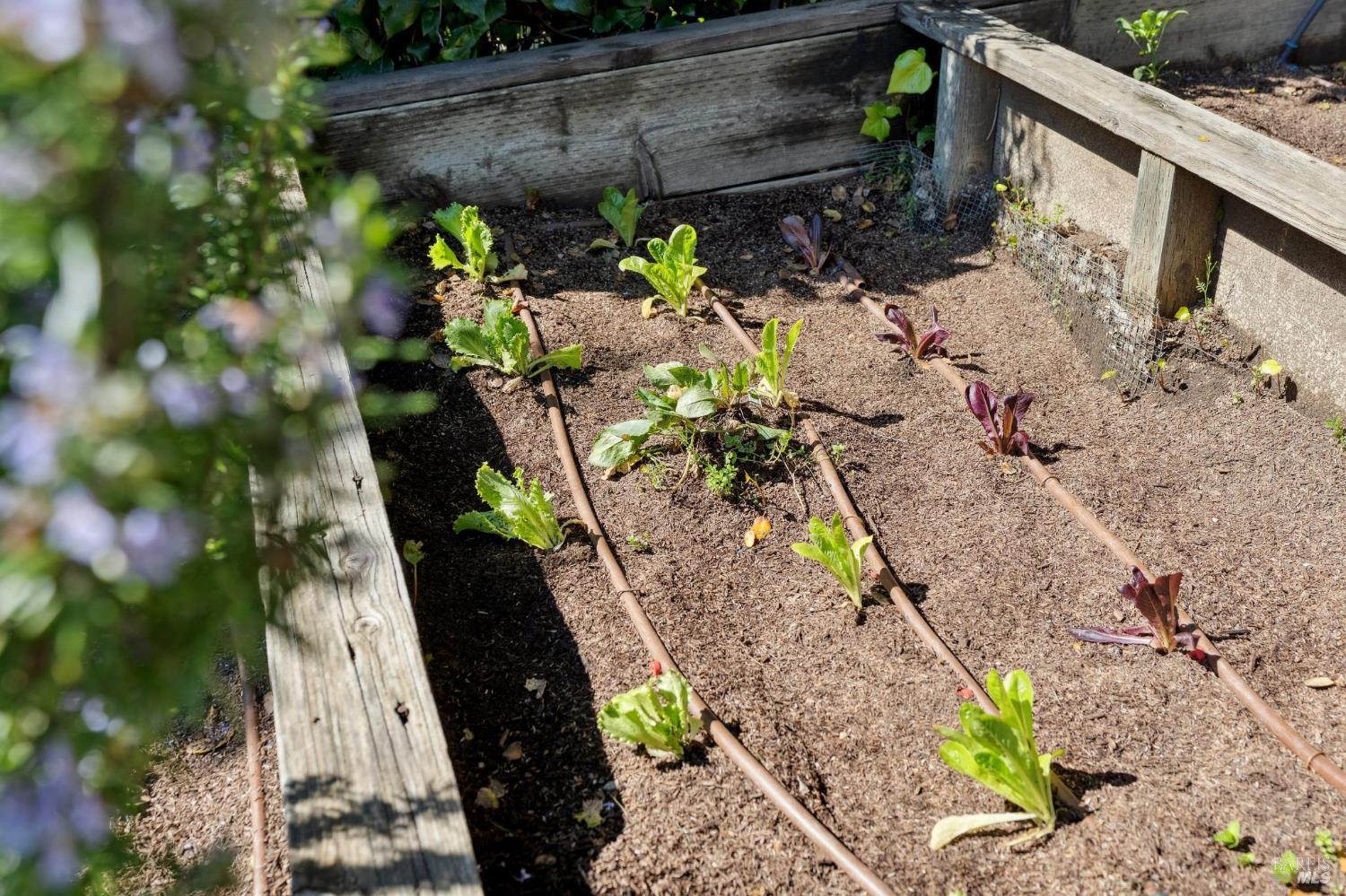 Detail Gallery Image 63 of 73 For 119 Bretano Way, Greenbrae,  CA 94904 - 4 Beds | 3 Baths