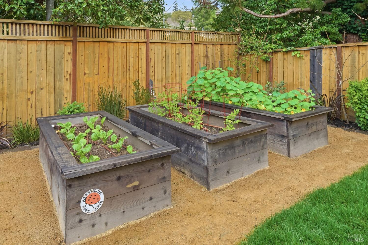 Detail Gallery Image 33 of 42 For 26 Hawthorne Ave, San Anselmo,  CA 94960 - 2 Beds | 2 Baths