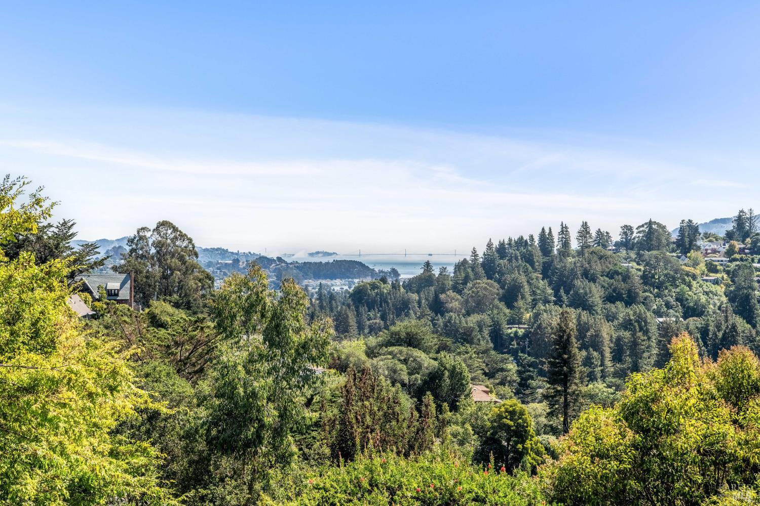 Detail Gallery Image 49 of 49 For 151 Tamalpais Ave, Mill Valley,  CA 94941 - 4 Beds | 3 Baths