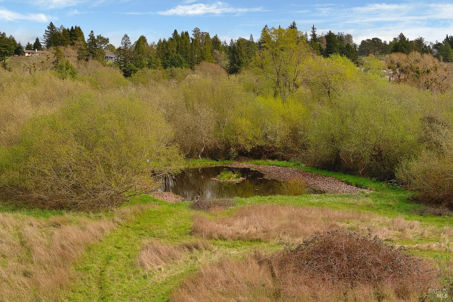 Detail Gallery Image 4 of 25 For 755 Watertrough Rd, Sebastopol,  CA 95472 - 2 Beds | 2 Baths