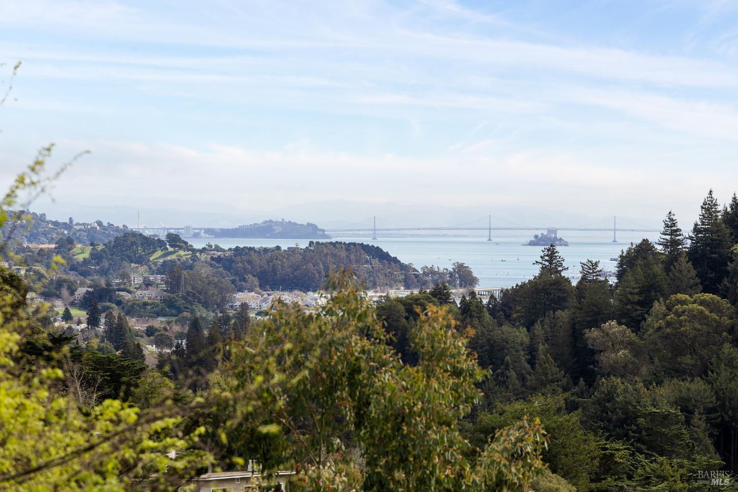 Detail Gallery Image 47 of 49 For 151 Tamalpais Ave, Mill Valley,  CA 94941 - 4 Beds | 3 Baths