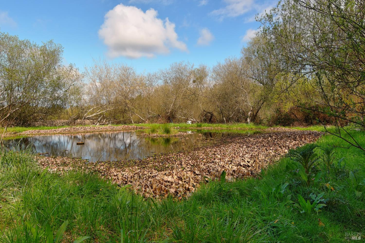 Detail Gallery Image 14 of 25 For 755 Watertrough Rd, Sebastopol,  CA 95472 - 2 Beds | 2 Baths
