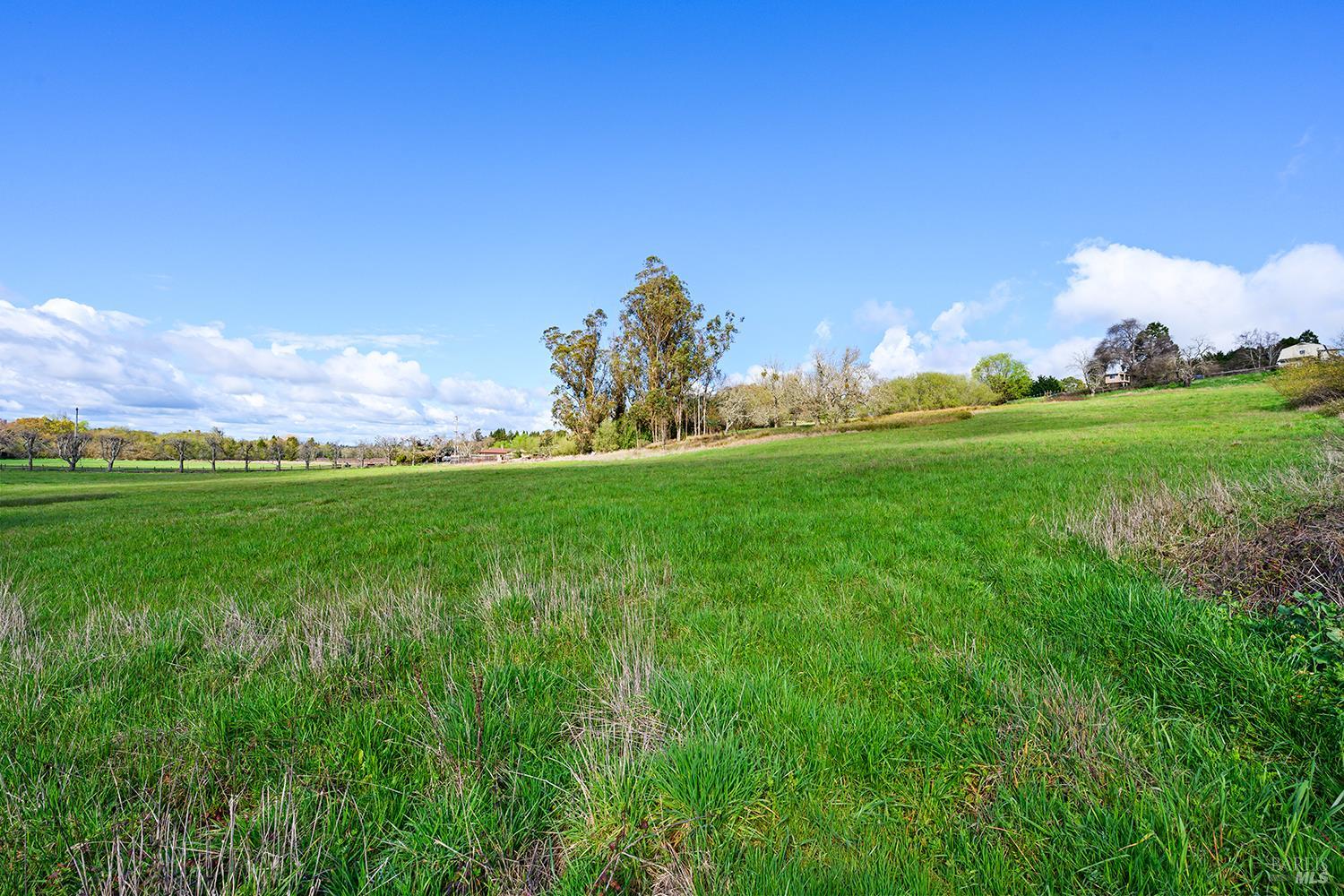 Detail Gallery Image 6 of 36 For 8400 Blackney Rd, Sebastopol,  CA 95472 - 2 Beds | 1 Baths