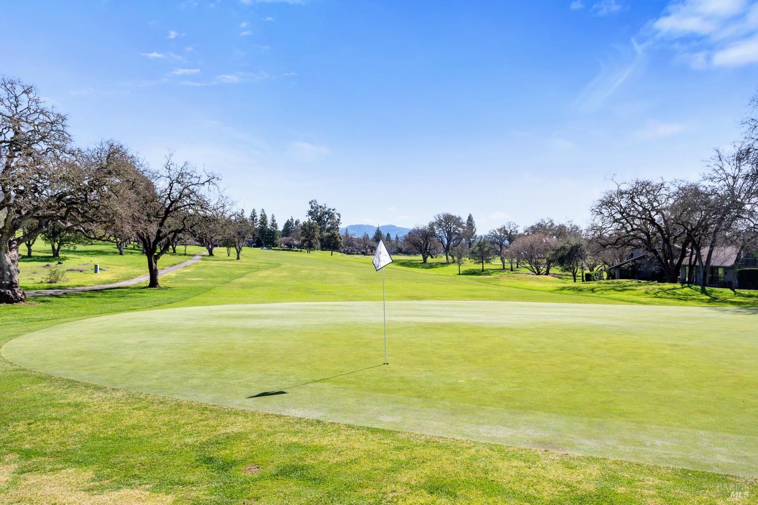 Detail Gallery Image 60 of 64 For 350 Deer Hollow Dr, Napa,  CA 94558 - 4 Beds | 4 Baths