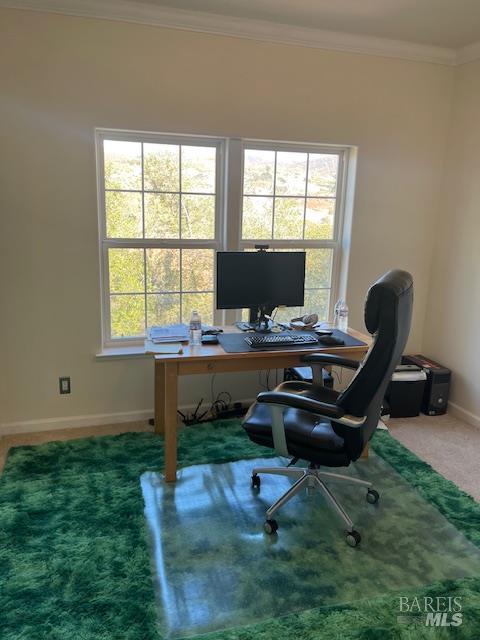 Detail Gallery Image 20 of 76 For 2410 Harness Dr, Pope Valley,  CA 94567 - 4 Beds | 3 Baths