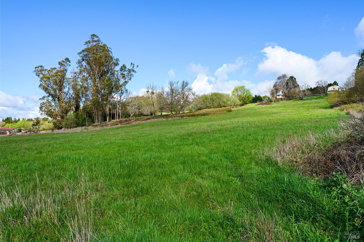 Detail Gallery Image 9 of 36 For 8400 Blackney Rd, Sebastopol,  CA 95472 - 2 Beds | 1 Baths