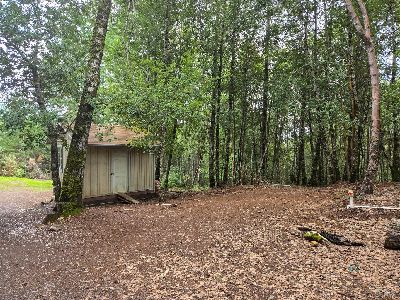 Detail Gallery Image 17 of 23 For 36341 Covelo Rd, Willits,  CA 95490 - – Beds | – Baths