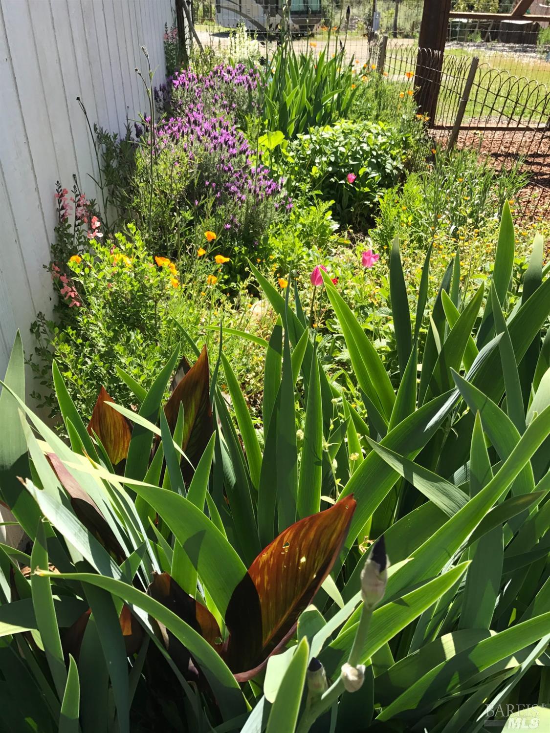 Detail Gallery Image 14 of 43 For 8700 Butts Canyon Rd, Pope Valley,  CA 94567 - 3 Beds | 2 Baths