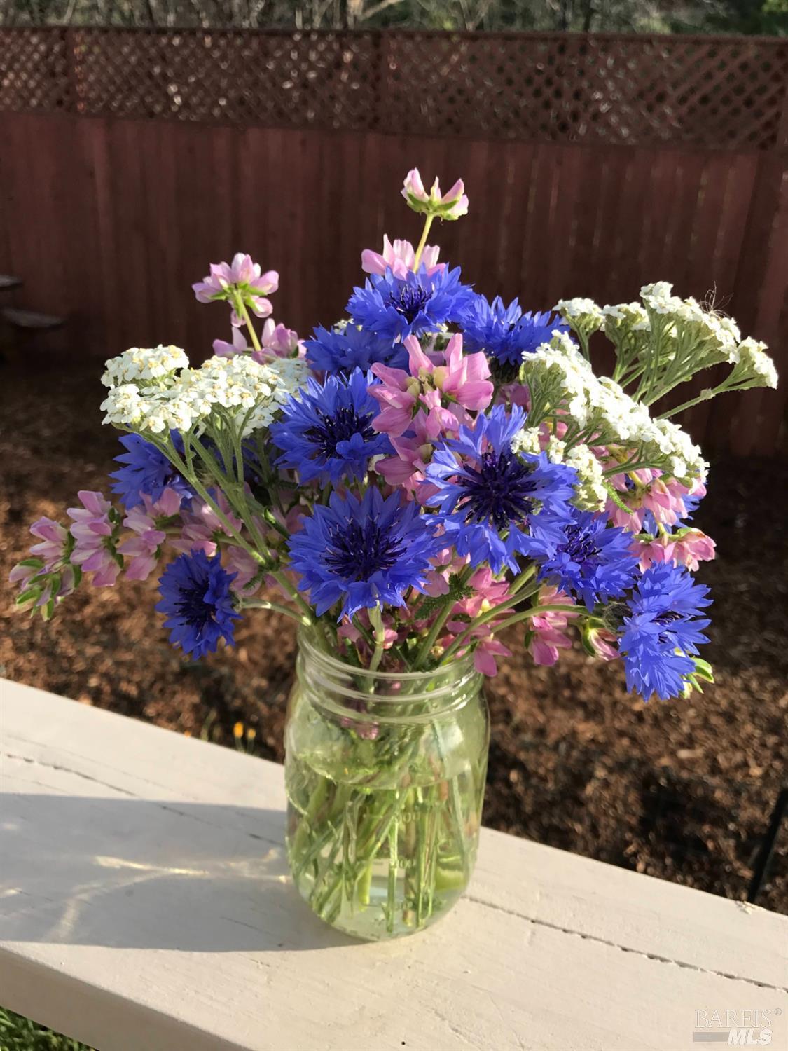 Detail Gallery Image 13 of 43 For 8700 Butts Canyon Rd, Pope Valley,  CA 94567 - 3 Beds | 2 Baths