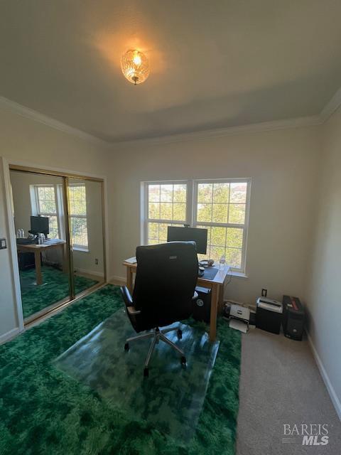 Detail Gallery Image 22 of 76 For 2410 Harness Dr, Pope Valley,  CA 94567 - 4 Beds | 3 Baths