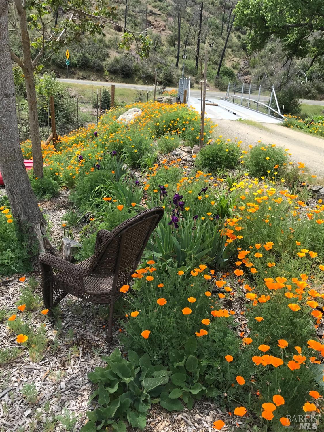 Detail Gallery Image 21 of 43 For 8700 Butts Canyon Rd, Pope Valley,  CA 94567 - 3 Beds | 2 Baths