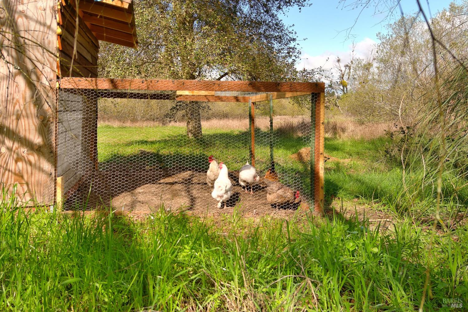 Detail Gallery Image 21 of 25 For 755 Watertrough Rd, Sebastopol,  CA 95472 - 2 Beds | 2 Baths