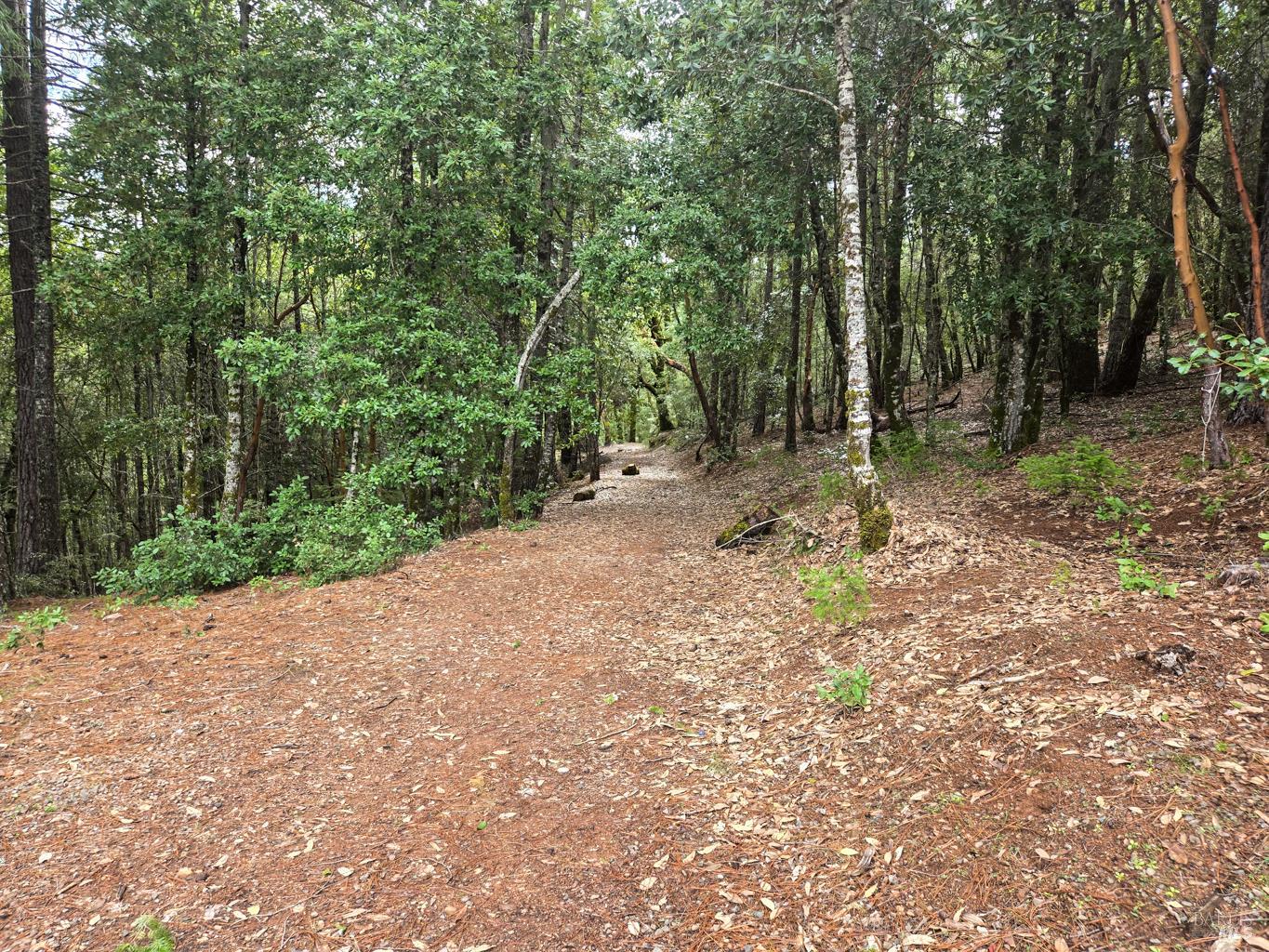 Detail Gallery Image 3 of 23 For 36341 Covelo Rd, Willits,  CA 95490 - – Beds | – Baths