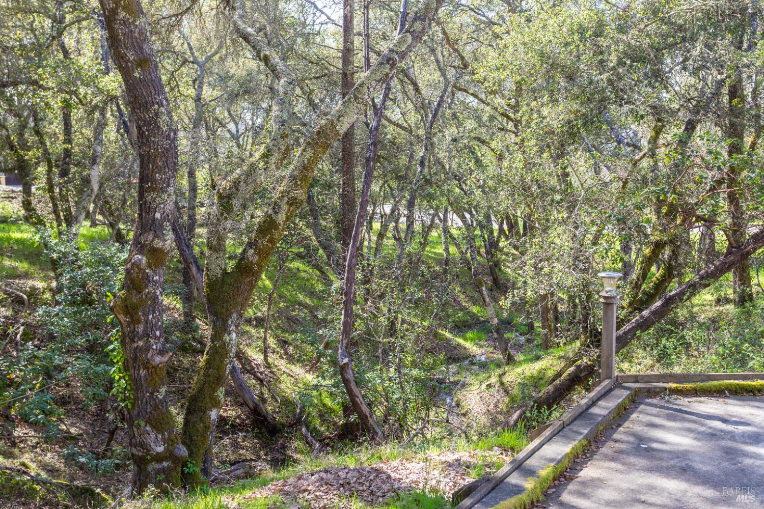 Detail Gallery Image 9 of 48 For 230 Clear Ridge Drive Dr, Healdsburg,  CA 95448 - 3 Beds | 2/1 Baths