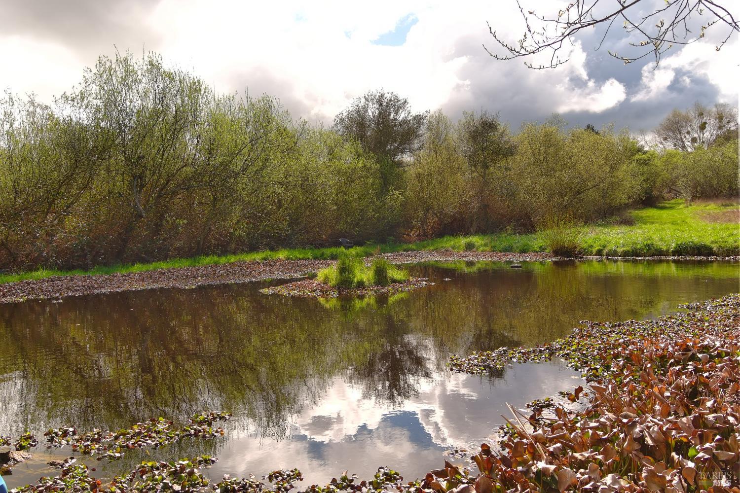 Detail Gallery Image 16 of 25 For 755 Watertrough Rd, Sebastopol,  CA 95472 - 2 Beds | 2 Baths