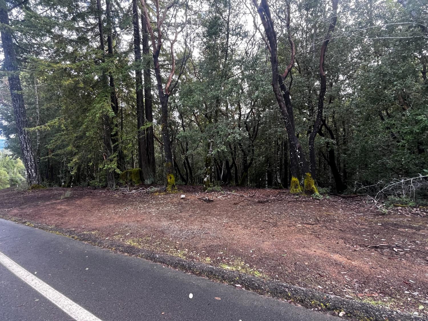 Detail Gallery Image 8 of 8 For 2149 Goose Rd, Willits,  CA 95490 - – Beds | – Baths