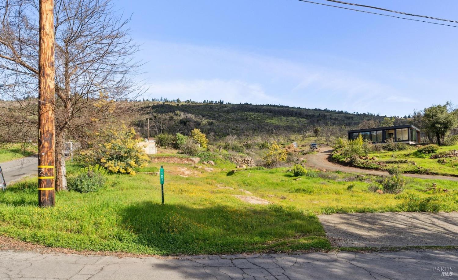 Detail Gallery Image 2 of 8 For 101 Pine Pl, Saint Helena,  CA 94574 - – Beds | – Baths