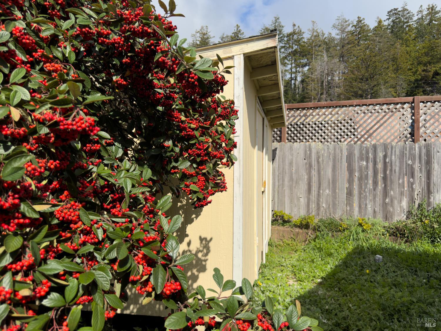 Detail Gallery Image 20 of 21 For 38851 38851 S Hwy One Hwy 31, Gualala,  CA 95445 - 3 Beds | 2 Baths