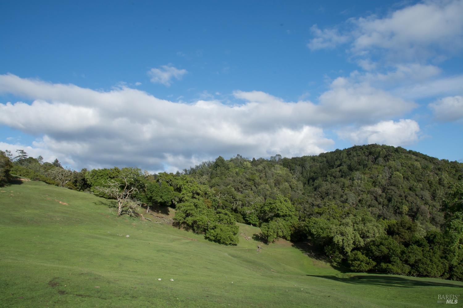 Detail Gallery Image 43 of 59 For 2700 Geysers Rd, Geyserville,  CA 95441 - 3 Beds | 2 Baths