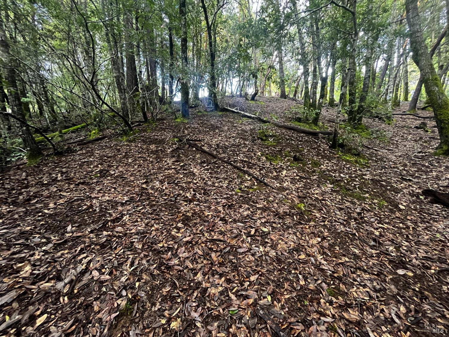 Detail Gallery Image 6 of 8 For 2149 Goose Rd, Willits,  CA 95490 - – Beds | – Baths