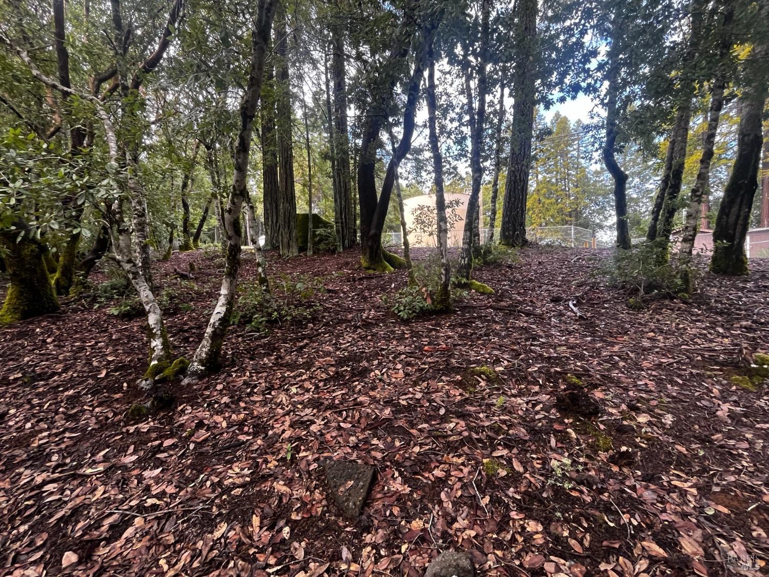 Detail Gallery Image 4 of 8 For 2149 Goose Rd, Willits,  CA 95490 - – Beds | – Baths