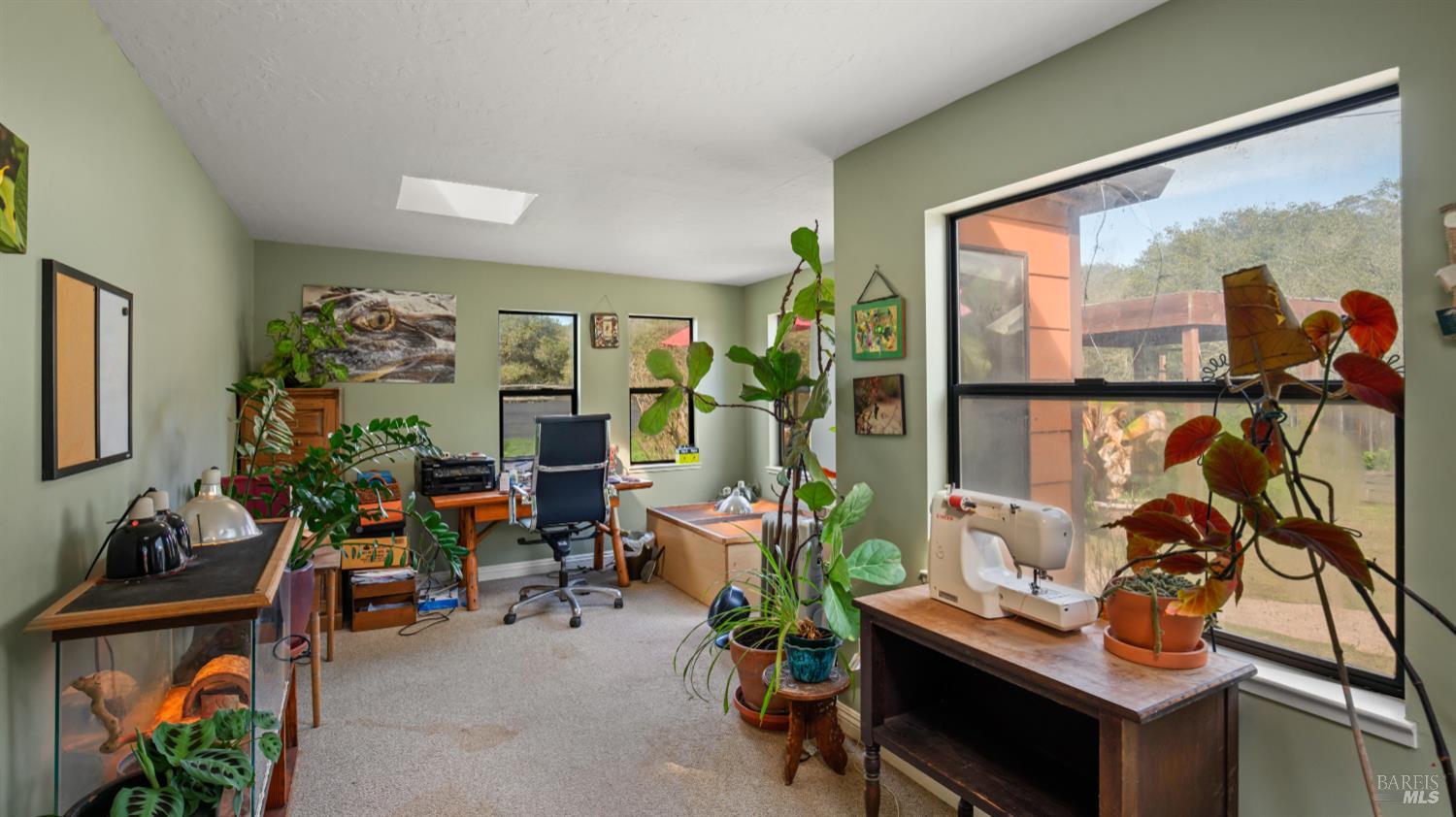 Detail Gallery Image 24 of 99 For 5932 Fredricks Rd, Sebastopol,  CA 95472 - 4 Beds | 4 Baths