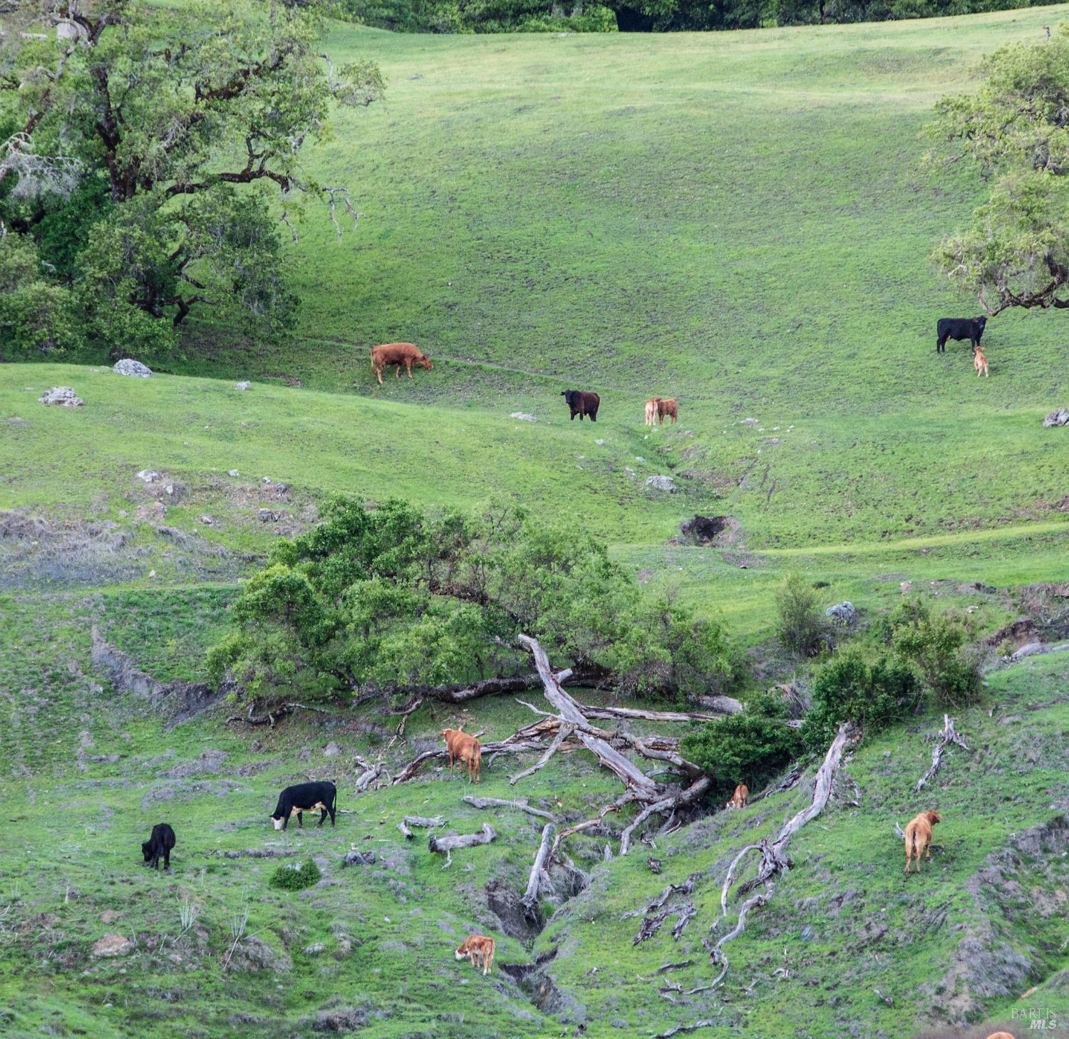 Detail Gallery Image 33 of 59 For 2700 Geysers Rd, Geyserville,  CA 95441 - 3 Beds | 2 Baths