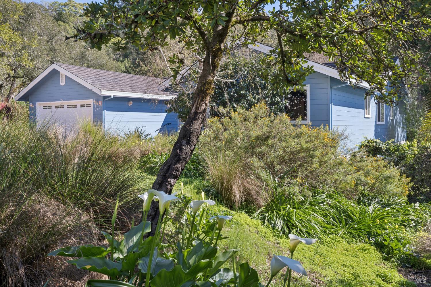 Detail Gallery Image 6 of 46 For 285 Cascade Dr, Fairfax,  CA 94930 - 4 Beds | 2 Baths