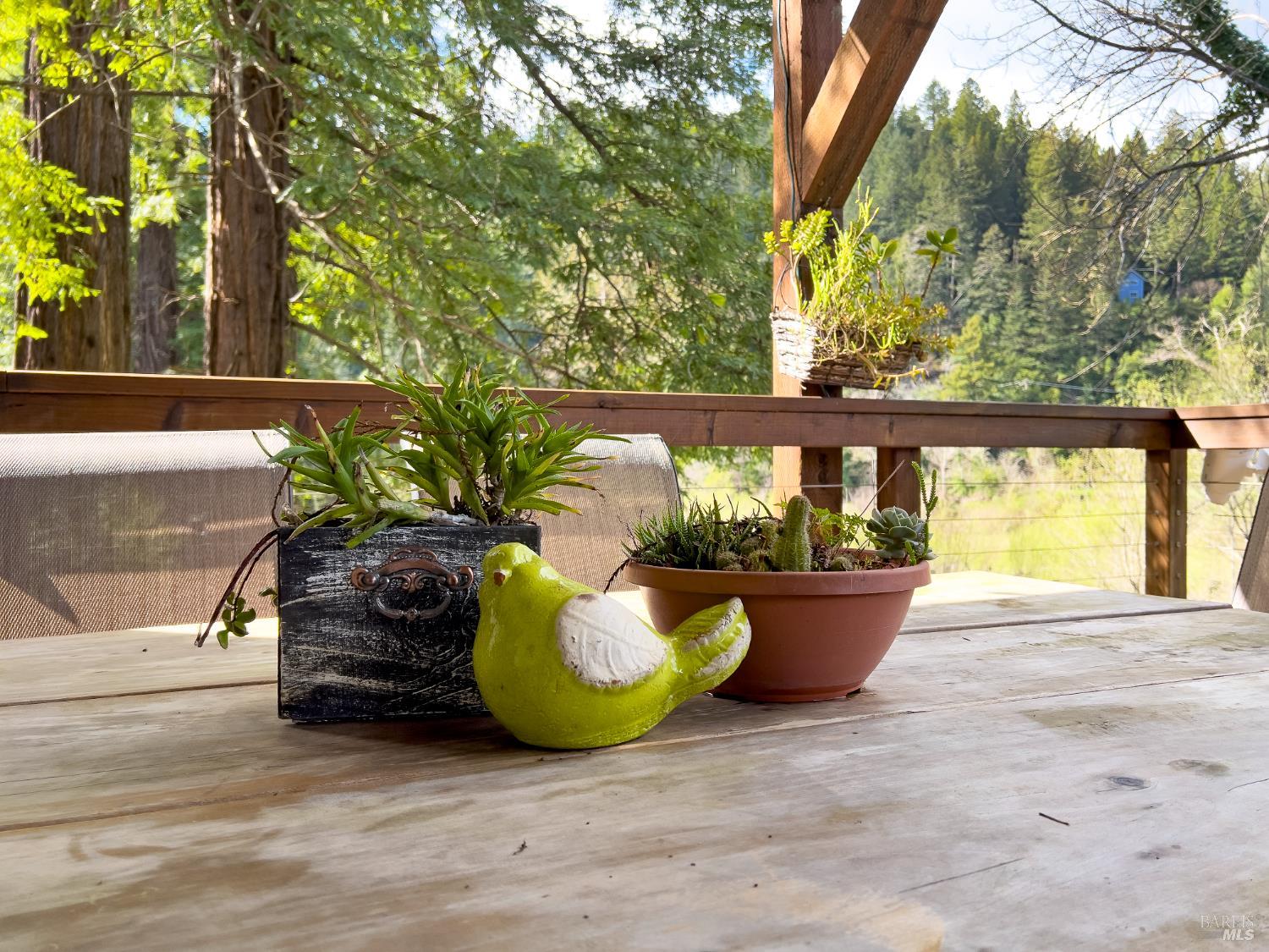 Detail Gallery Image 31 of 67 For 16620 Guernewood Rd, Guerneville,  CA 95446 - 4 Beds | 3 Baths