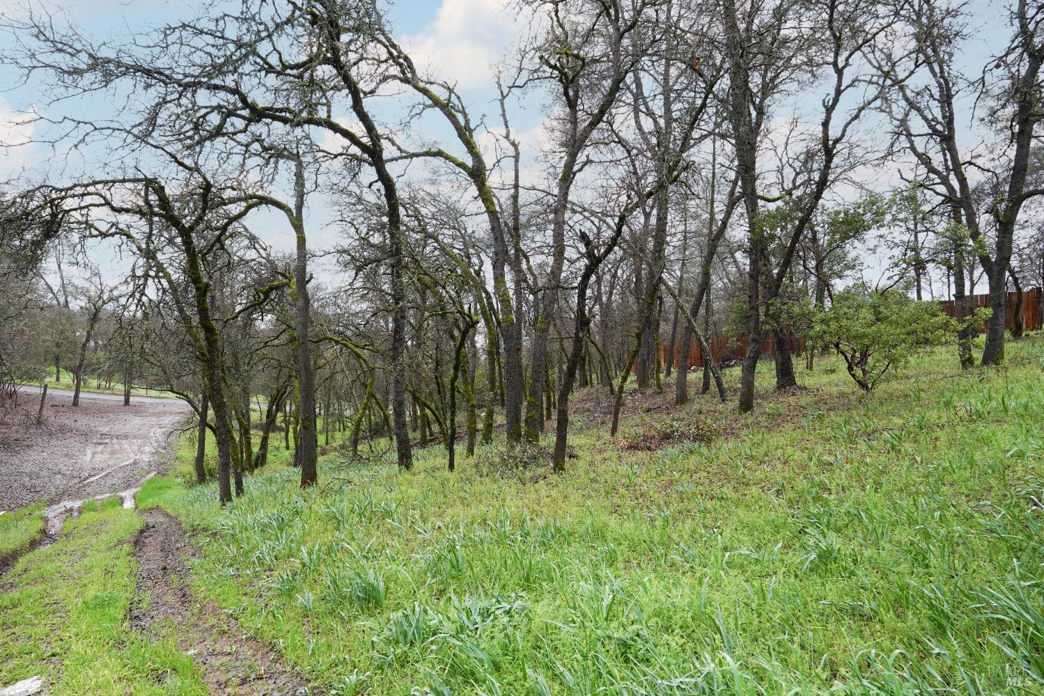 Detail Gallery Image 37 of 39 For 15615 37th Ave, Clearlake,  CA 95422 - – Beds | – Baths