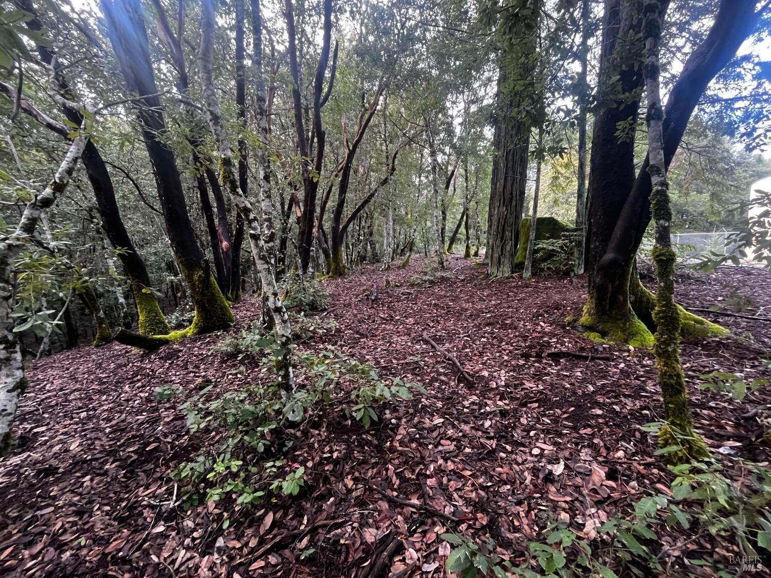 Detail Gallery Image 7 of 8 For 2149 Goose Rd, Willits,  CA 95490 - – Beds | – Baths