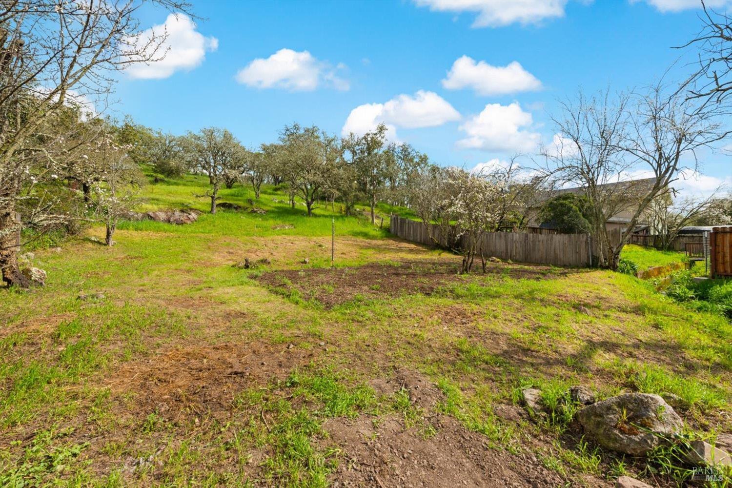 Detail Gallery Image 67 of 84 For 2192 1st Ave, Napa,  CA 94558 - 1 Beds | 1 Baths