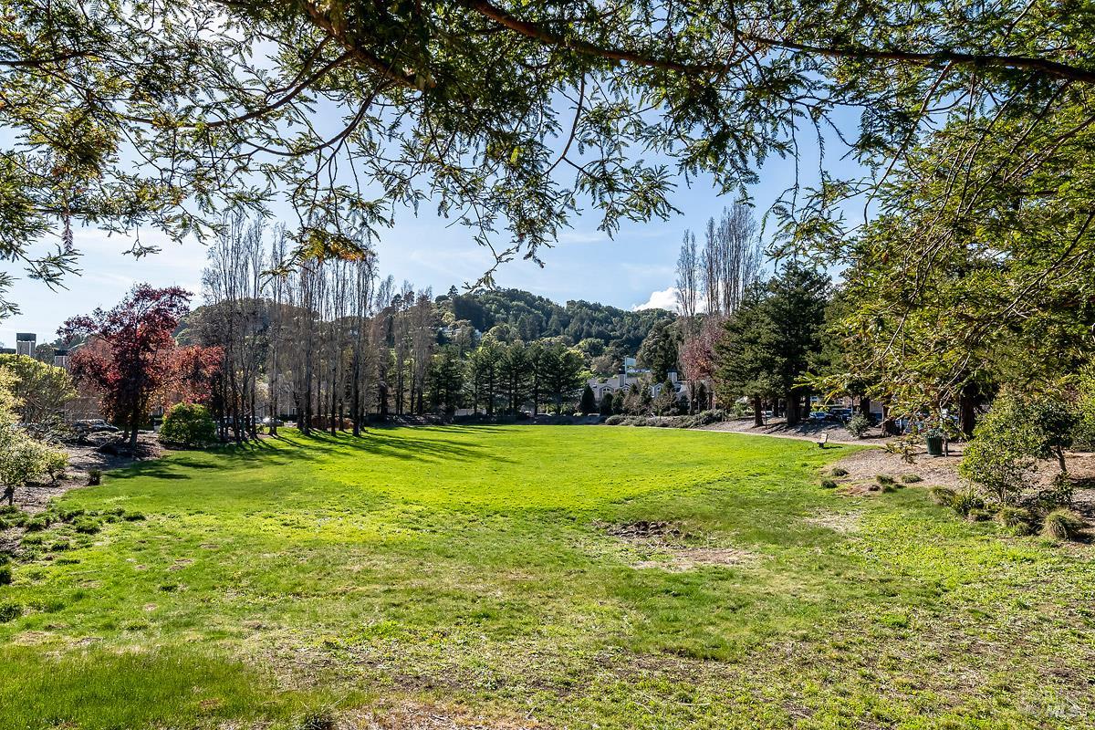 Detail Gallery Image 36 of 40 For 37 Creekside Ct, Corte Madera,  CA 94925 - 2 Beds | 2/1 Baths