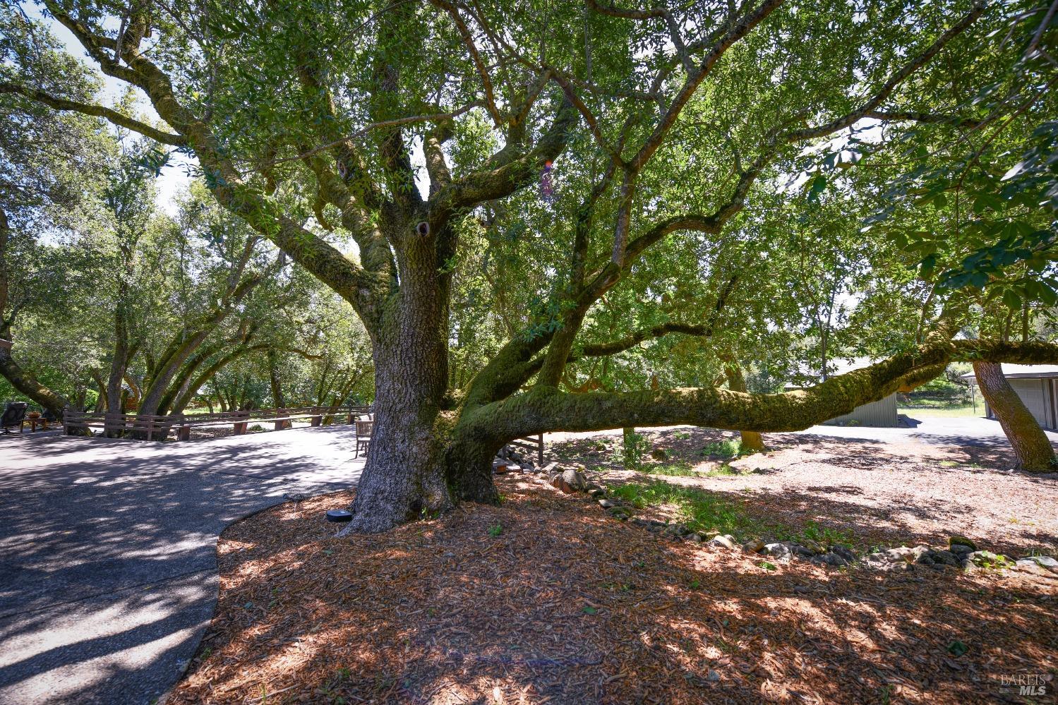 Detail Gallery Image 54 of 58 For 2120 Grove St, Sonoma,  CA 95476 - 3 Beds | 2/1 Baths