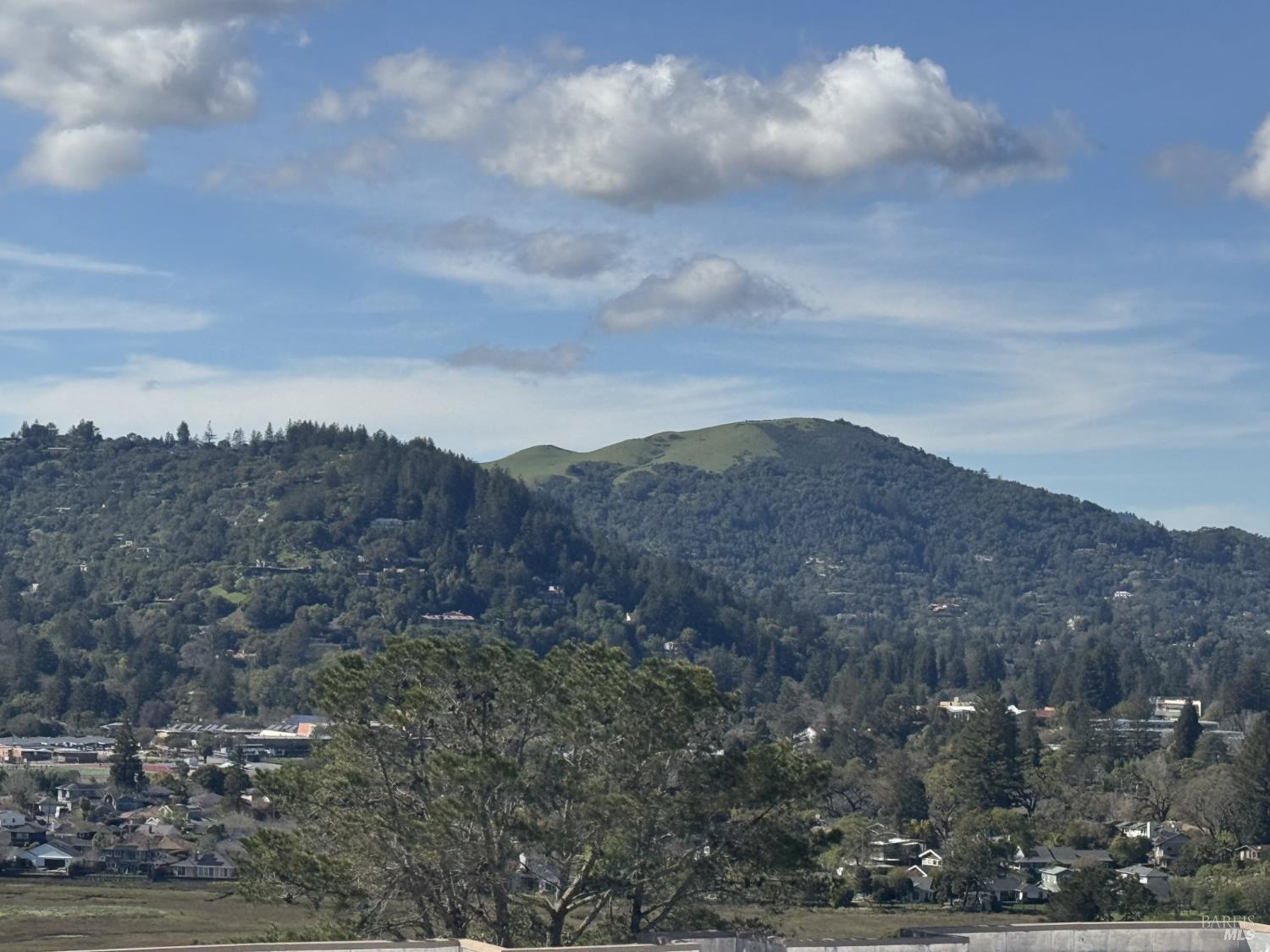 Detail Gallery Image 36 of 44 For 823 via Casitas Unkn, Greenbrae,  CA 94904 - 2 Beds | 2 Baths