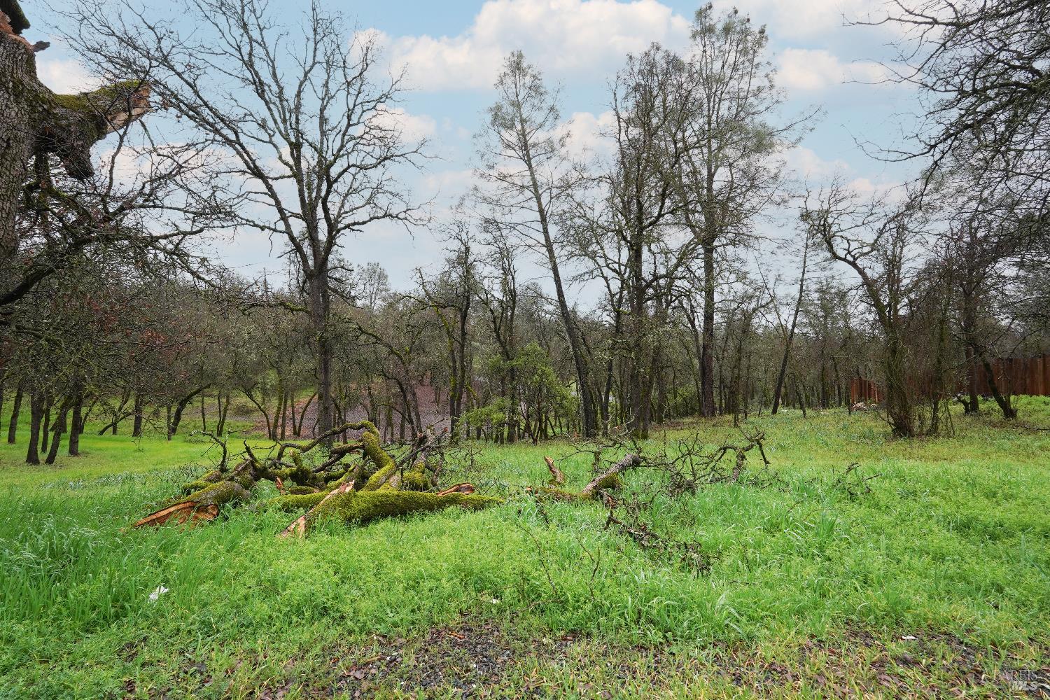 Detail Gallery Image 35 of 39 For 15615 37th Ave, Clearlake,  CA 95422 - – Beds | – Baths