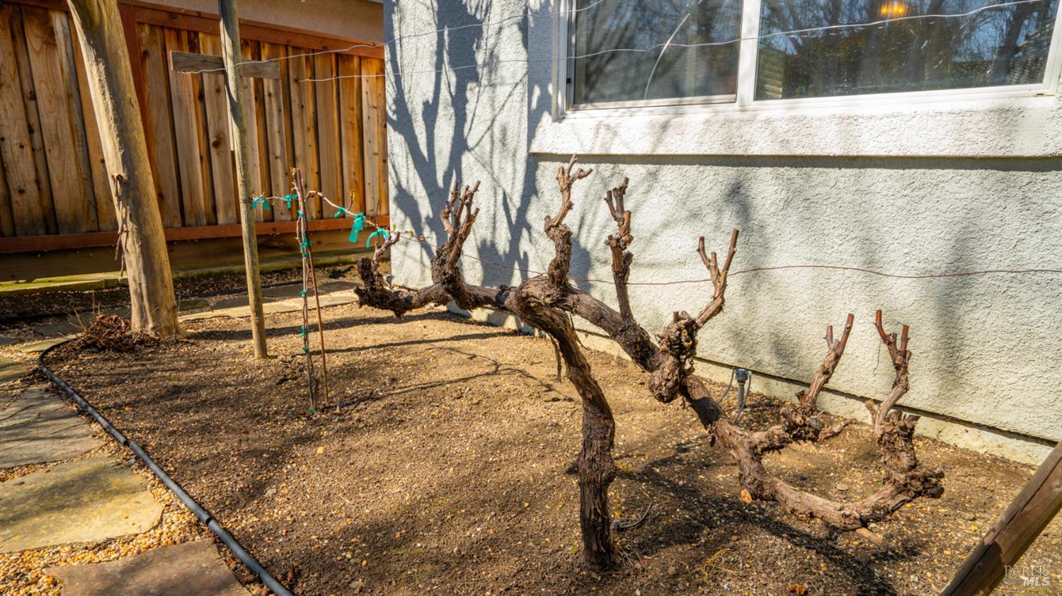 Detail Gallery Image 54 of 79 For 5244 Tuscany Dr, Fairfield,  CA 94534 - 4 Beds | 2/1 Baths