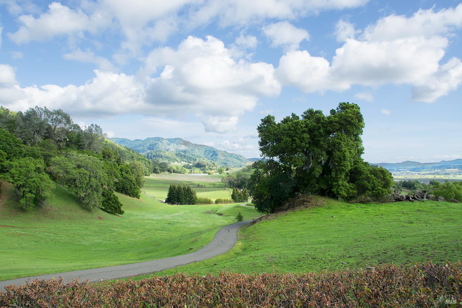 Detail Gallery Image 46 of 59 For 2700 Geysers Rd, Geyserville,  CA 95441 - 3 Beds | 2 Baths