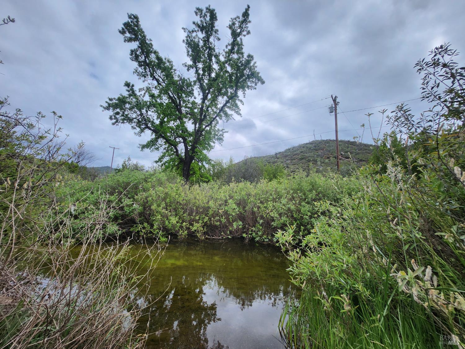 Detail Gallery Image 24 of 43 For 8700 Butts Canyon Rd, Pope Valley,  CA 94567 - 3 Beds | 2 Baths