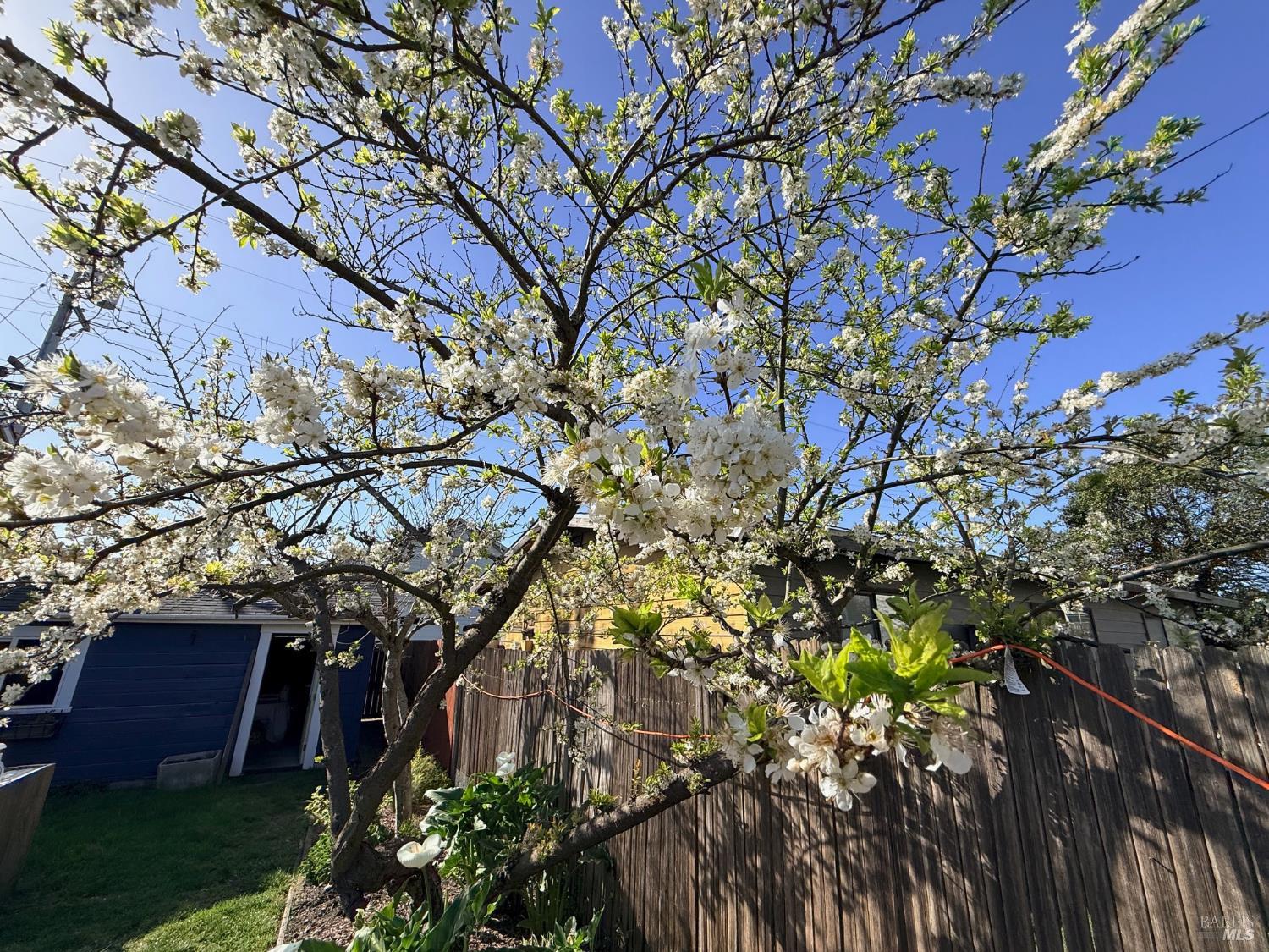 Detail Gallery Image 25 of 32 For 147 N Mcpherson St, Fort Bragg,  CA 95437 - 2 Beds | 1 Baths