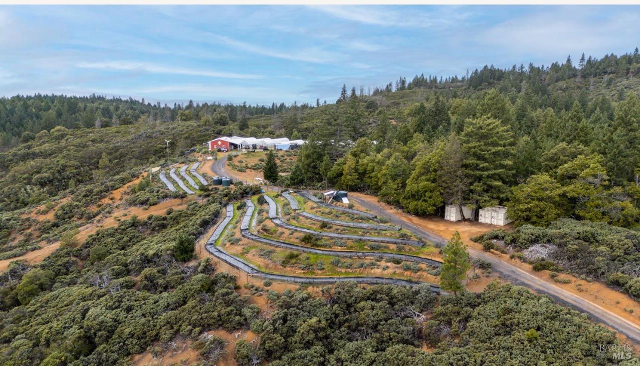 Detail Gallery Image 20 of 28 For 19450 Tomki Rd, Redwood Valley,  CA 95470 - – Beds | – Baths