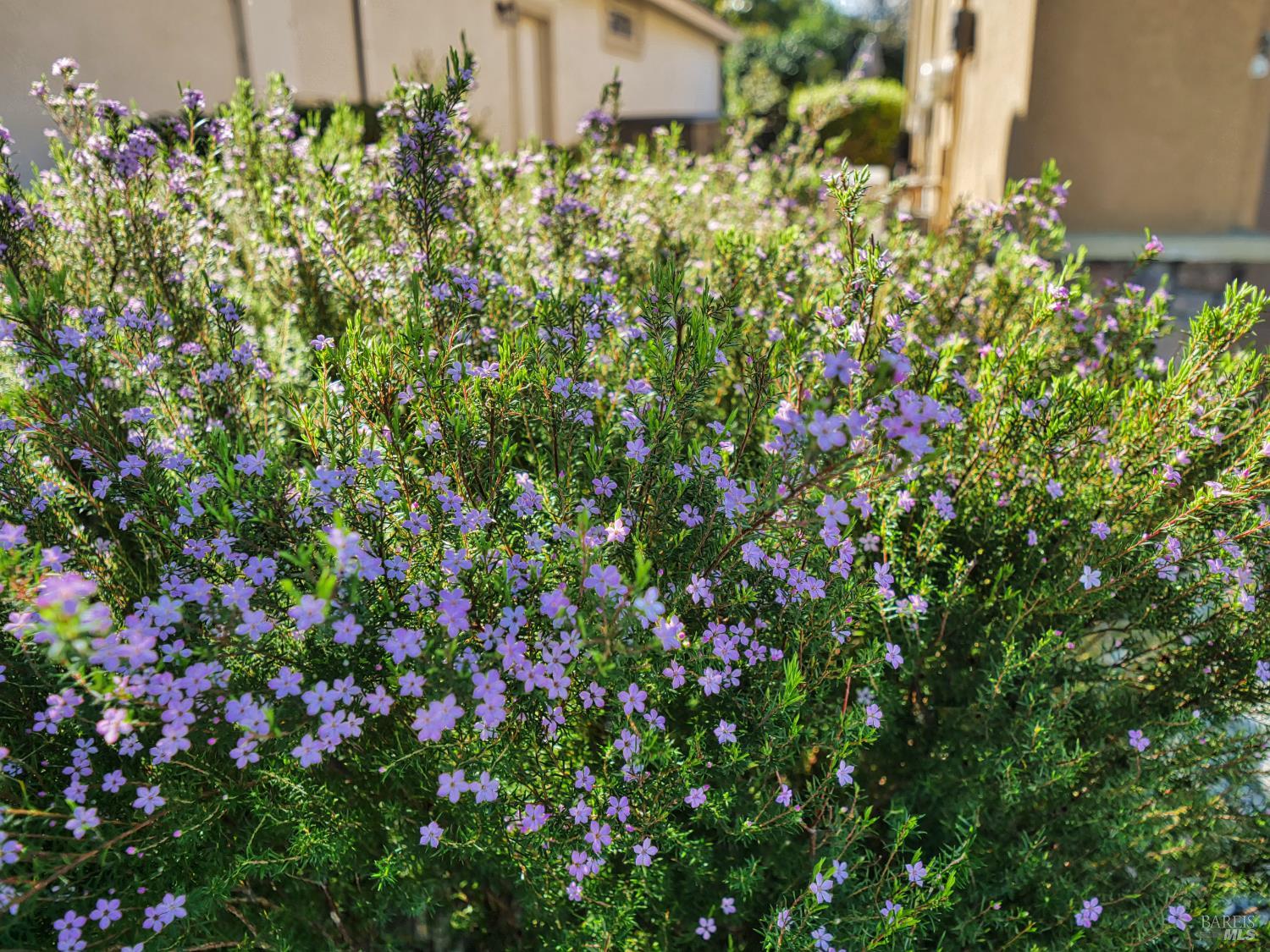 Detail Gallery Image 32 of 49 For 773 Turnberry Ter, Rio Vista,  CA 94571 - 2 Beds | 2 Baths