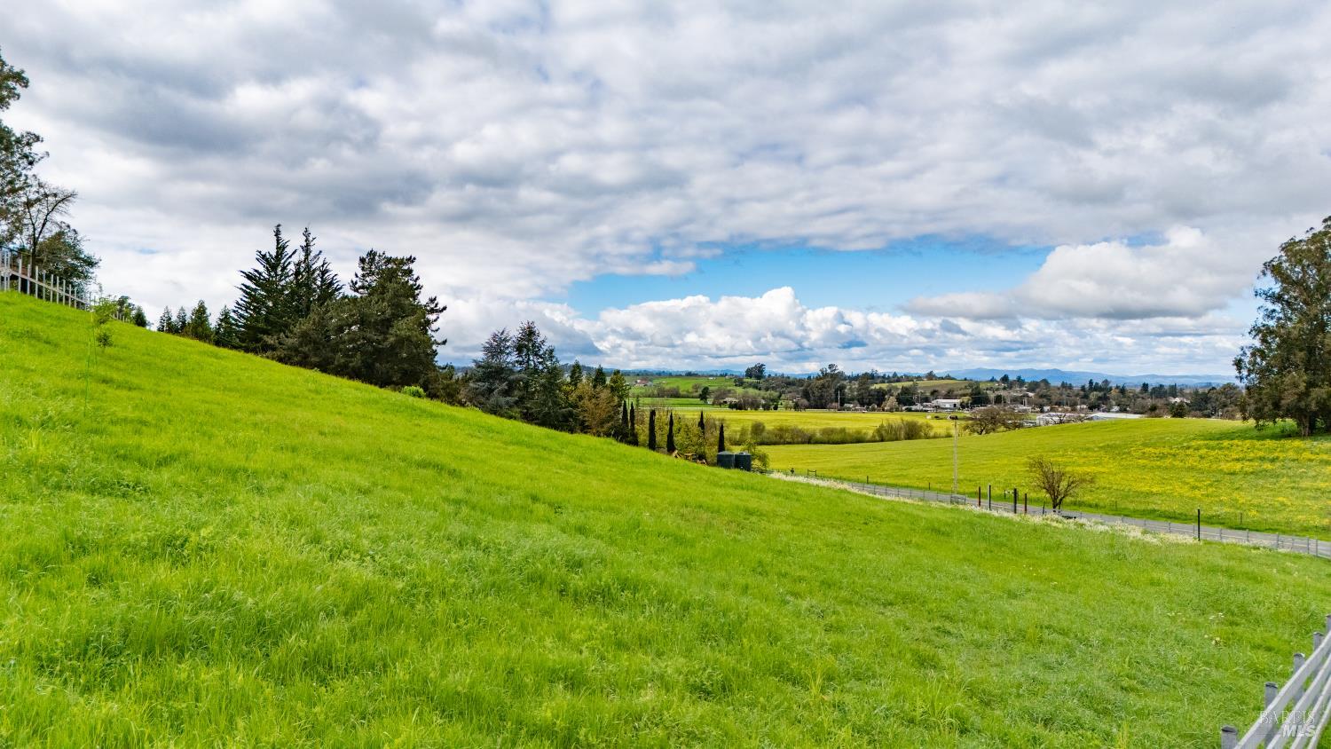 Detail Gallery Image 8 of 19 For 1226 Madrone Ave, Cotati,  CA 94931 - – Beds | – Baths