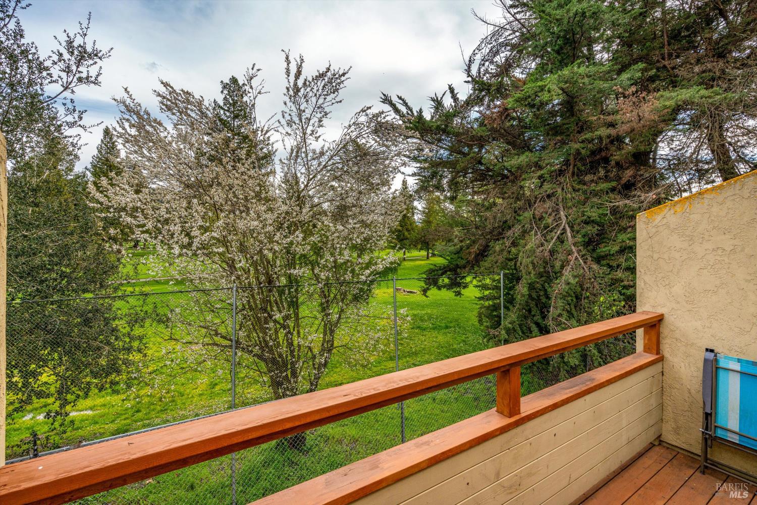 Detail Gallery Image 29 of 54 For 3098 Yulupa Ave, Santa Rosa,  CA 95405 - 2 Beds | 1/1 Baths