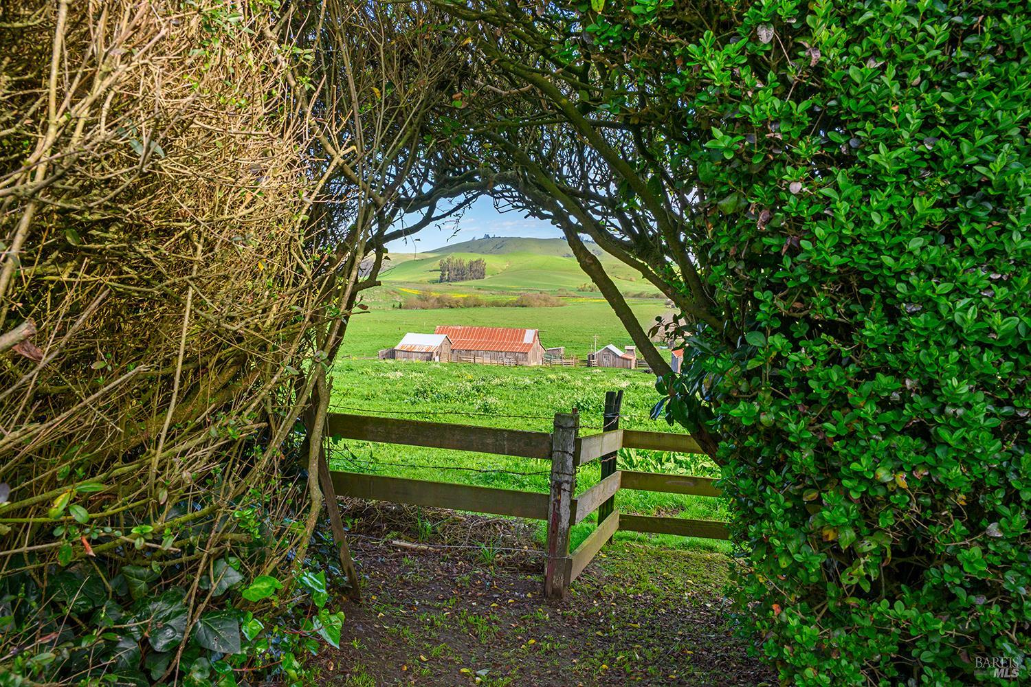 Detail Gallery Image 3 of 45 For 14550 Valley Ford Estero Rd, Valley Ford,  CA 94972 - 4 Beds | 1 Baths