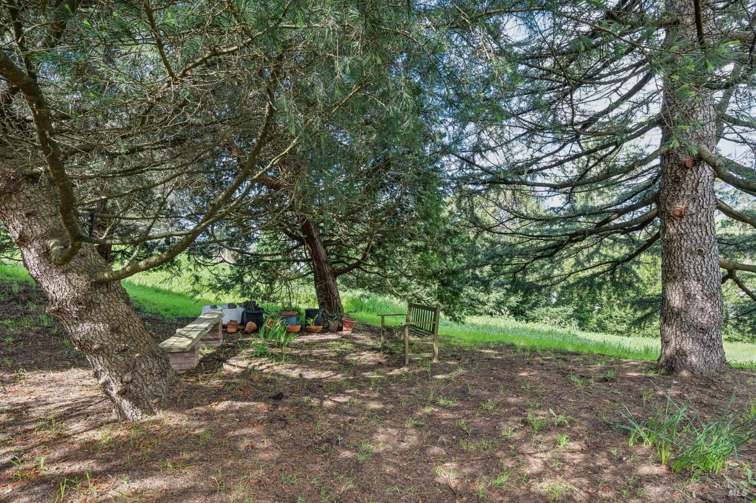 Detail Gallery Image 72 of 92 For 5855 Bodega Ave, Petaluma,  CA 94952 - 3 Beds | 2/1 Baths