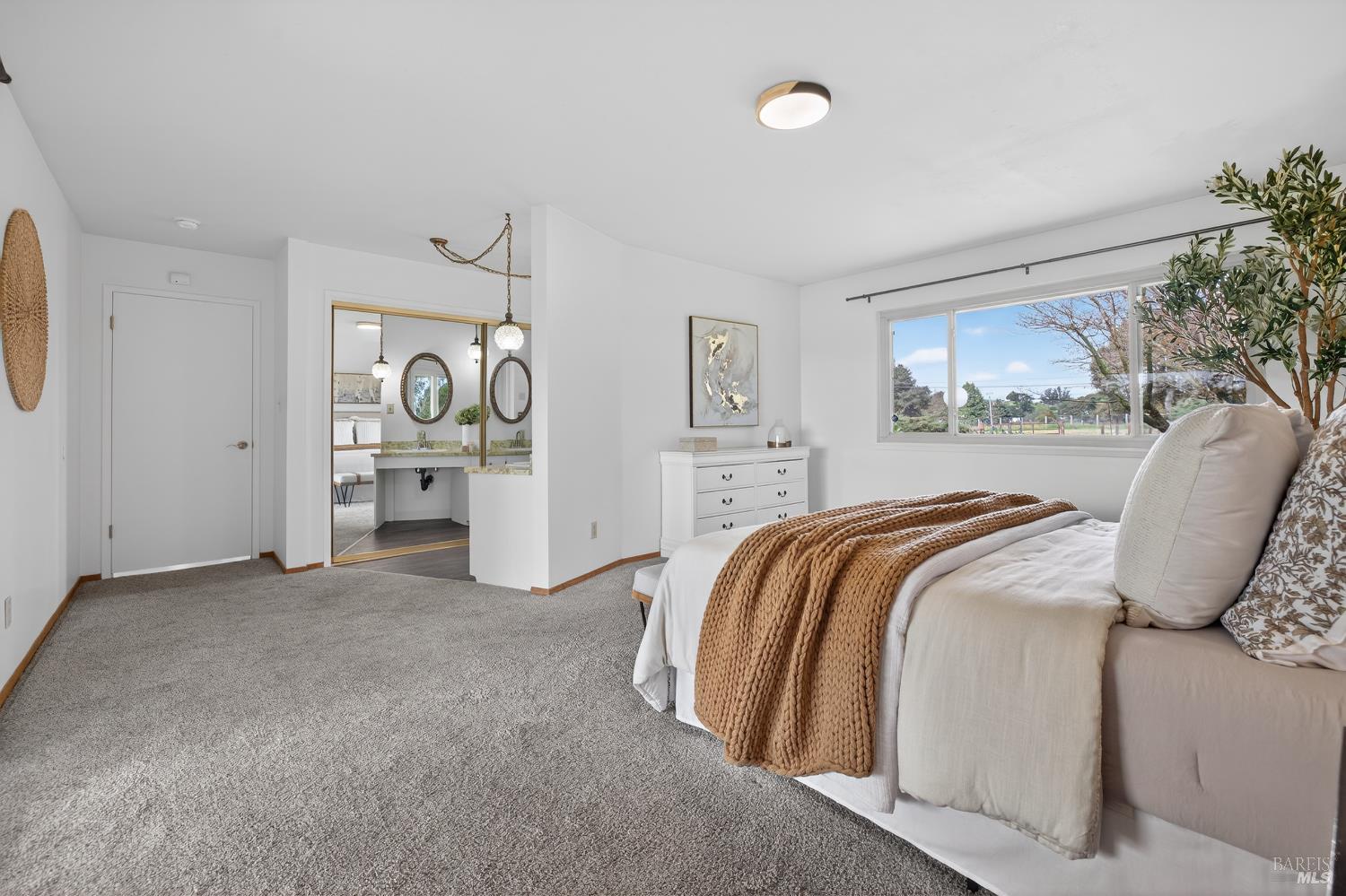 Detail Gallery Image 41 of 70 For 101 Mcbrown Rd, Petaluma,  CA 94952 - 4 Beds | 2/1 Baths