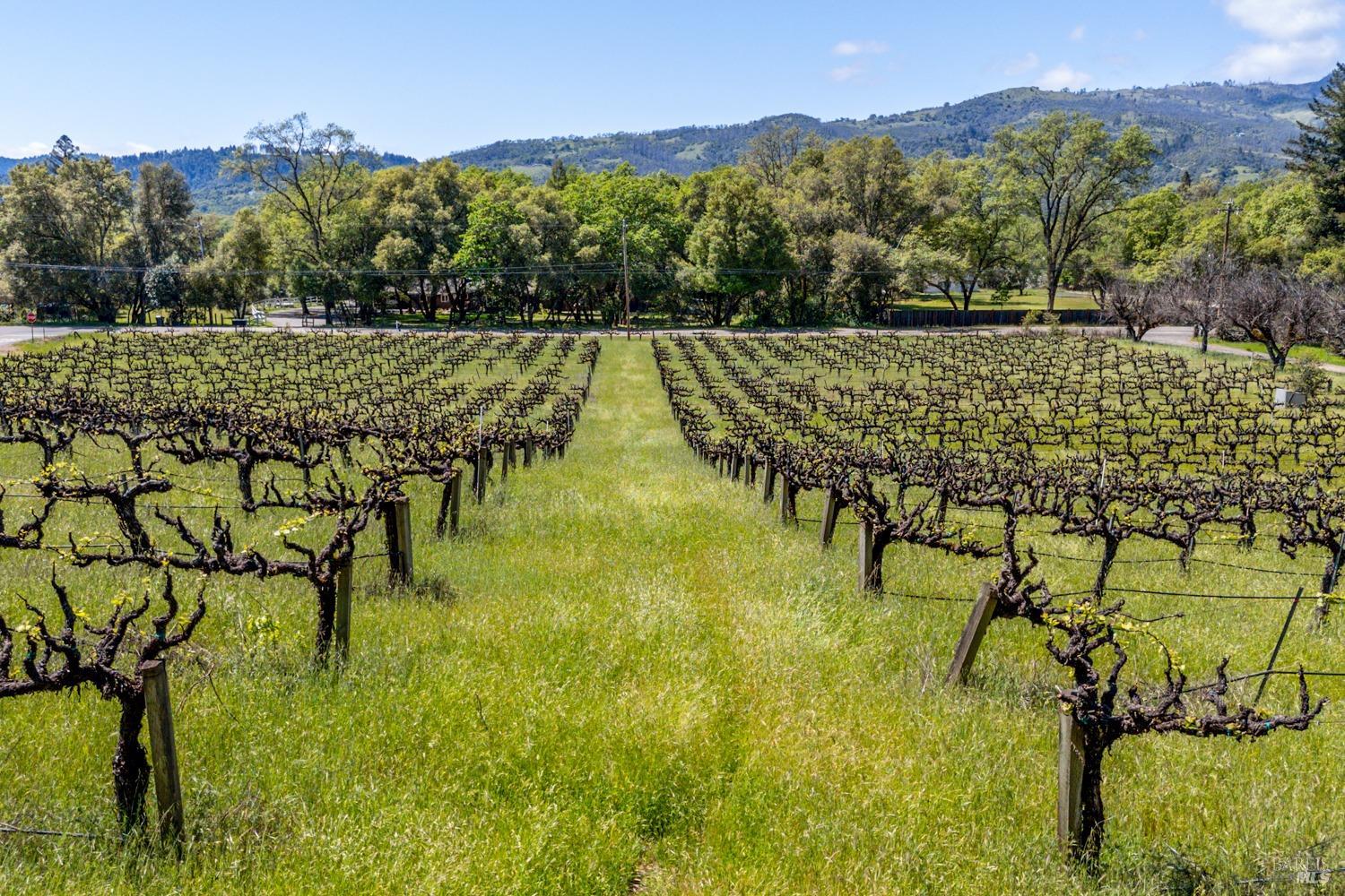 Detail Gallery Image 23 of 27 For 3200 Road J Unkn, Redwood Valley,  CA 95470 - 4 Beds | 3/1 Baths